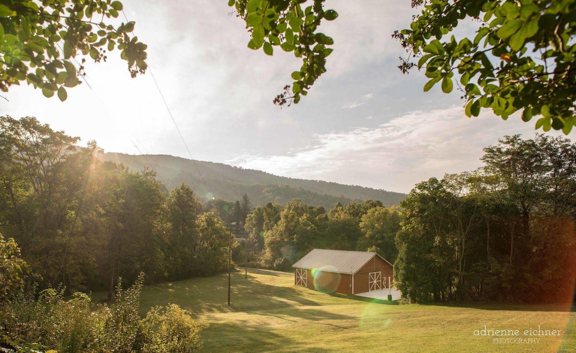 Orchard House B&B Lovingston Exteriör bild